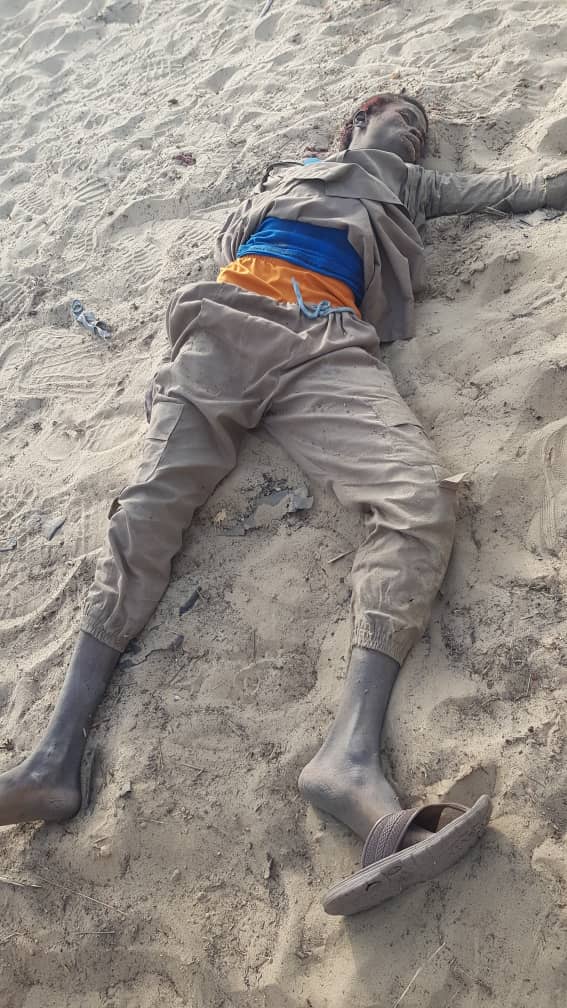 IMG-20200518-WA0024.jpg image